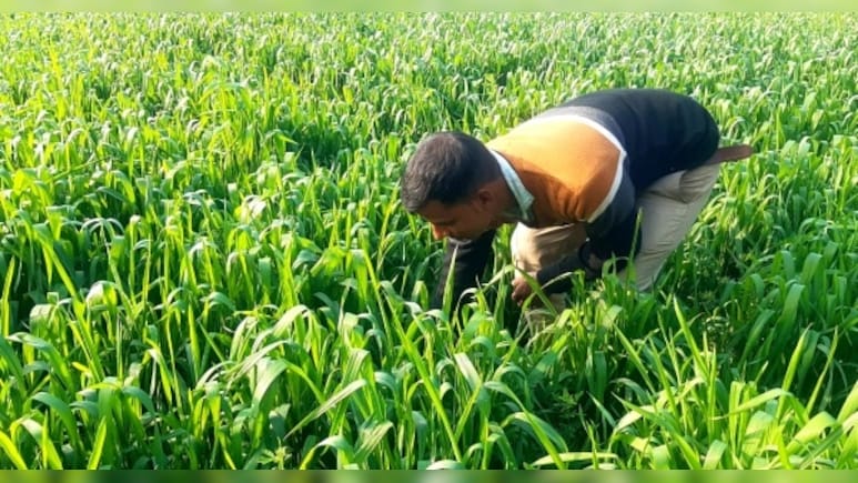 एमपी गजब है... किसानों पर खर्चने थे 5 करोड़, गाड़ियों पर उड़ा दी 90% रकम, कैग ने खोली पोल एमपी गजब है... किसानों पर खर्चने थे 5 करोड़, गाड़ियों पर उड़ा दी 90% रकम, कैग ने खोली पोल