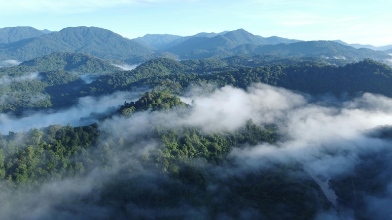 6 Hill Stations In India That Transform Into Foggy Wonders By 4 pm 6 Hill Stations In India That Transform Into Foggy Wonders By 4 pm
