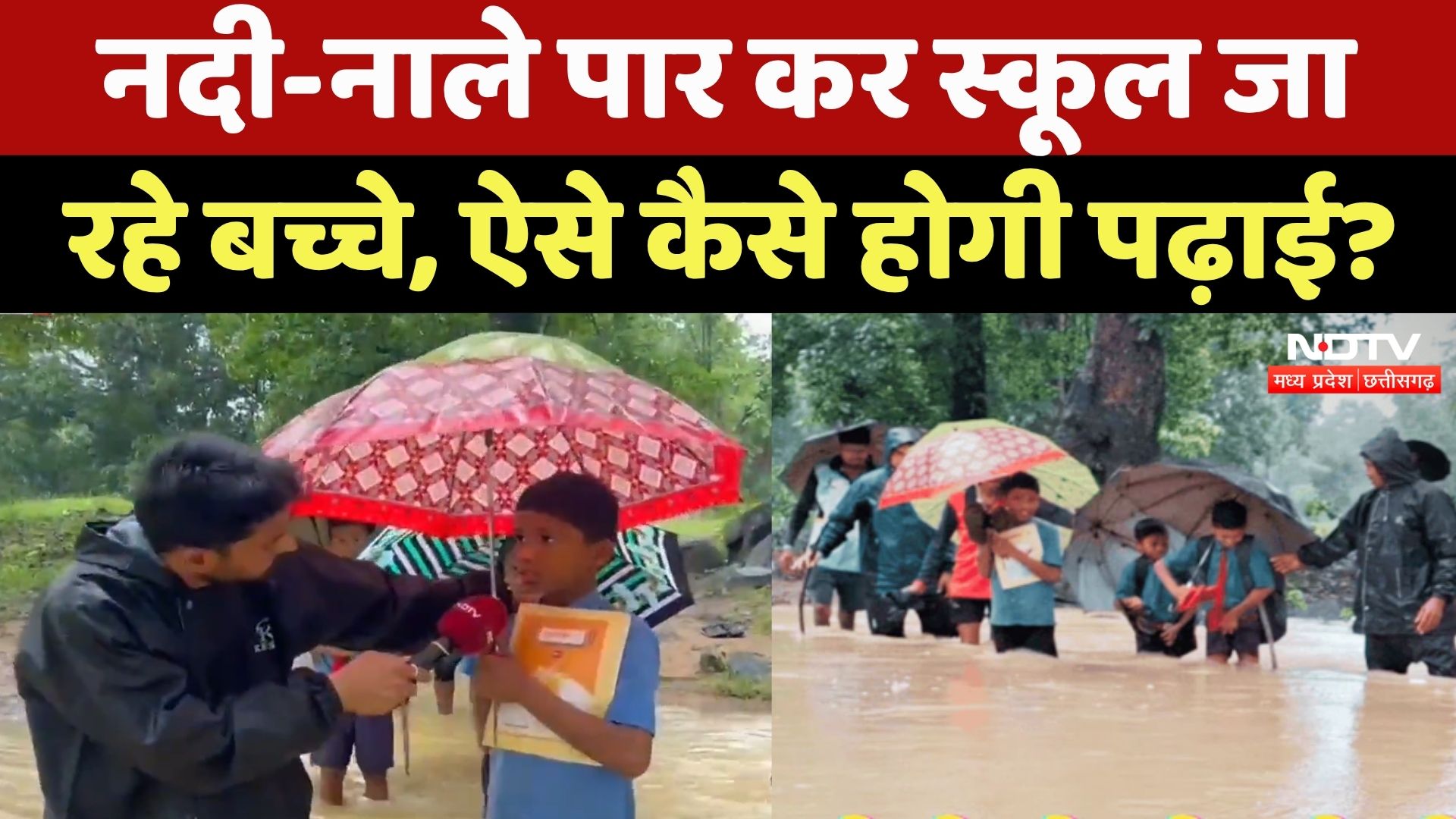 Kanker News: शिक्षा के लिए Students जान की बाजी लगाकर जा रहे School, देखिए ये VIDEO | CG Top News