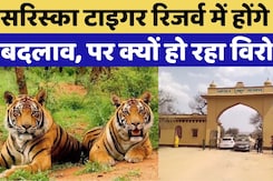 Sariska: Sariska Tiger Reserve में बड़े बदलाव की तैयारी