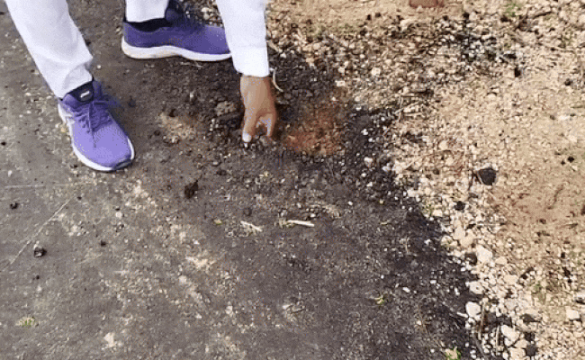 Rajasthan: बीकानेर में 1.22 करोड़ में बनी सड़क की खुली पोल, मिनटों में हाथों से उखाड़ी Rajasthan: बीकानेर में 1.22 करोड़ में बनी सड़क की खुली पोल, मिनटों में हाथों से उखाड़ी