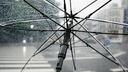 Incorporate These Ayurvedic Hacks This Monsoon To Avoid Seasonal Ailments