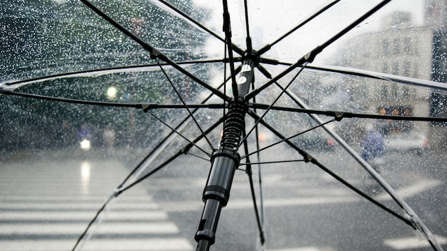 Incorporating simple, time-tested Ayurvedic hacks can help keep the body strong in monsoon