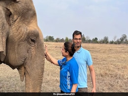 Asia's Oldest Elephant Dies At Panna Tiger Reserve Asia's Oldest Elephant Dies At Panna Tiger Reserve