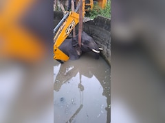 Elephant Falls Into Well In Coimbatore, Dies Despite Rescue Operation