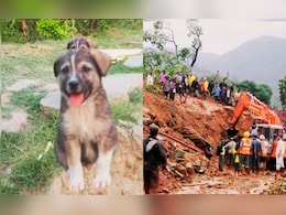 Himachal Pradesh : एका कुत्र्याच्या पिल्लाने वाचवले 67 गावकऱ्यांचे प्राण, अन्यथा माळीणसारखी दुर्घटना घडली असती