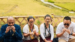 Planning To Attend Ziro Festival Of Music 2025: Here Is Your Complete Travel Guide