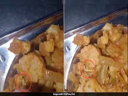 Worm Found In Food At Pune University's Canteen, Students Demand Strict Action Worm Found In Food At Pune University's Canteen, Students Demand Strict Action
