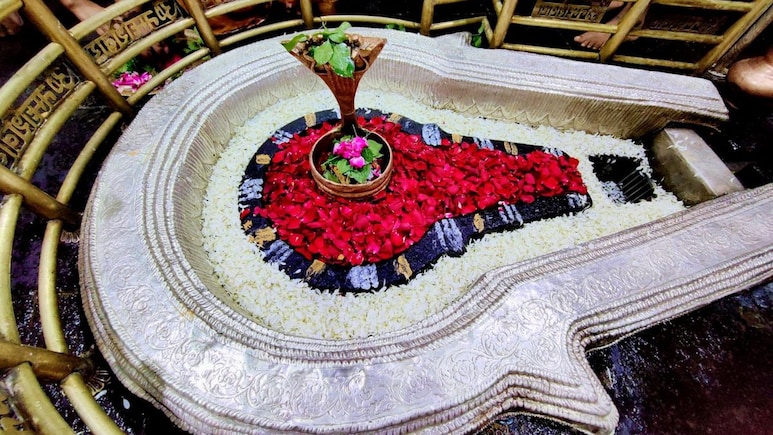 Bhimashankar Jyotirling Darshan: श्रावण महिन्यात भीमाशंकराचे VIP दर्शन, अन्य भक्तांसाठी साध्या रांगेची व्यवस्था