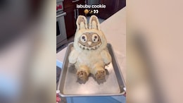 Viral Now: Vlogger Tries To Make Labubu-Themed Cookie, Here's How It Turned Out