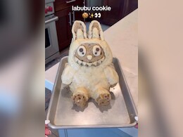 Viral Now: Vlogger Tries To Make Labubu-Themed Cookie, Here's How It Turned Out