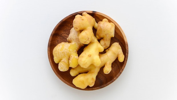 Latest and Breaking News on NDTV Latest and Breaking News on NDTV