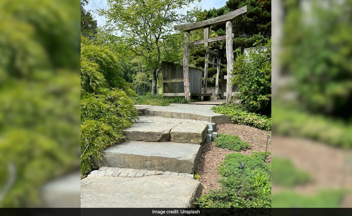 72 годишна жена в Китай седеше на хвърлен слънце в градината