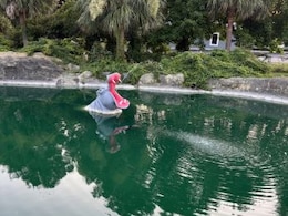 इस तस्वीर में कहीं छिपा है एक मगरमच्छ, अगर 10 सेकंड में आप ढूंढ निकाला, तो आप जैसा जीनियस कोई हो नहीं सकता इस तस्वीर में कहीं छिपा है एक मगरमच्छ, अगर 10 सेकंड में आप ढूंढ निकाला, तो आप जैसा जीनियस कोई हो नहीं सकता