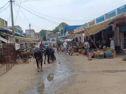 Rajasthan: झुंझुनूं में सांड के आतंक से लोग परेशान, क्षेत्रवासियों ने प्रशासन के खिलाफ आंदोलन की दी चेतावनी Rajasthan: झुंझुनूं में सांड के आतंक से लोग परेशान, क्षेत्रवासियों ने प्रशासन के खिलाफ आंदोलन की दी चेतावनी