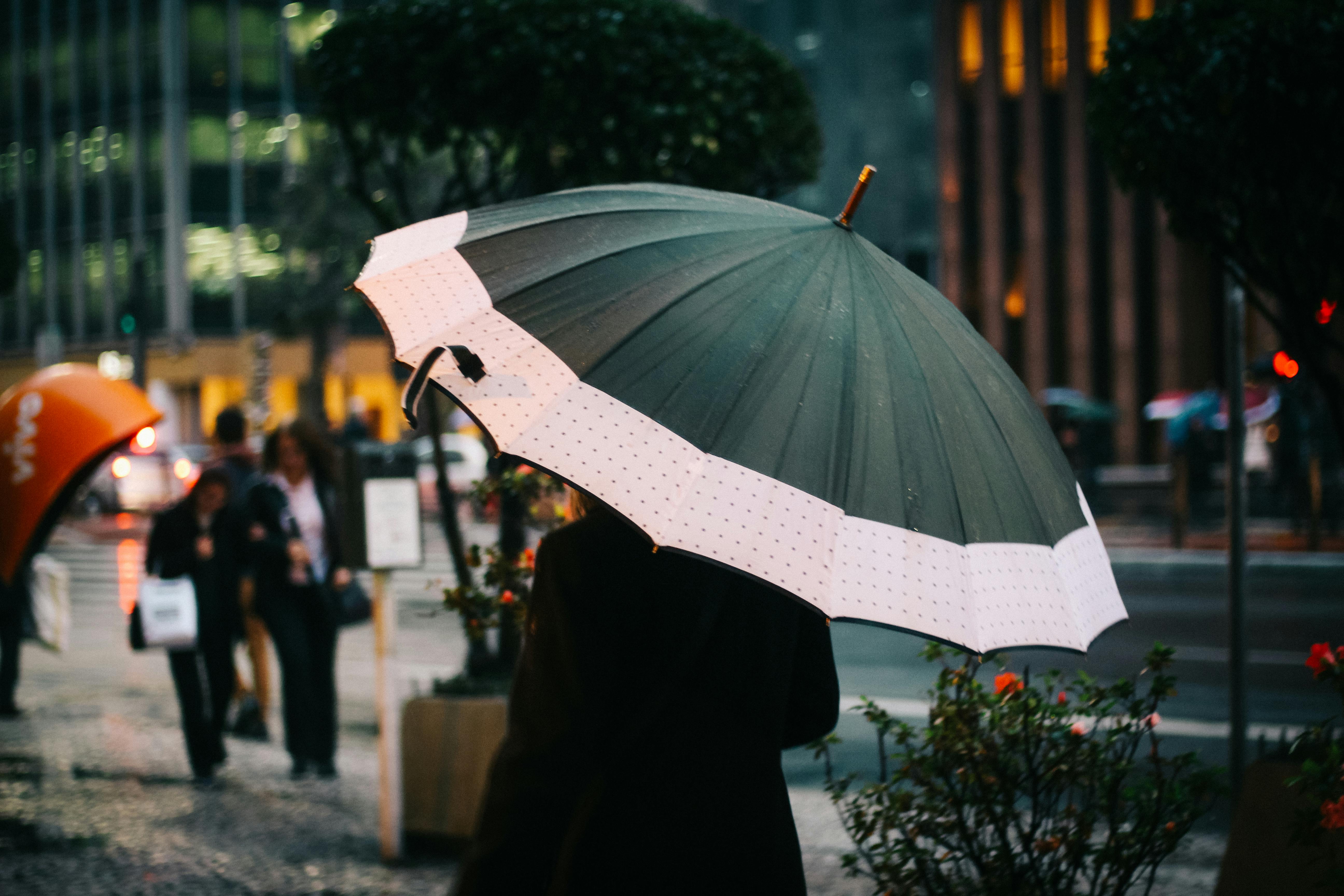 Rainy Season के लिए बेस्ट हैं ये शानदार Umbrella, 300 रुपये से भी कम में अभी खरीदें Rainy Season के लिए बेस्ट हैं ये शानदार Umbrella, 300 रुपये से भी कम में अभी खरीदें