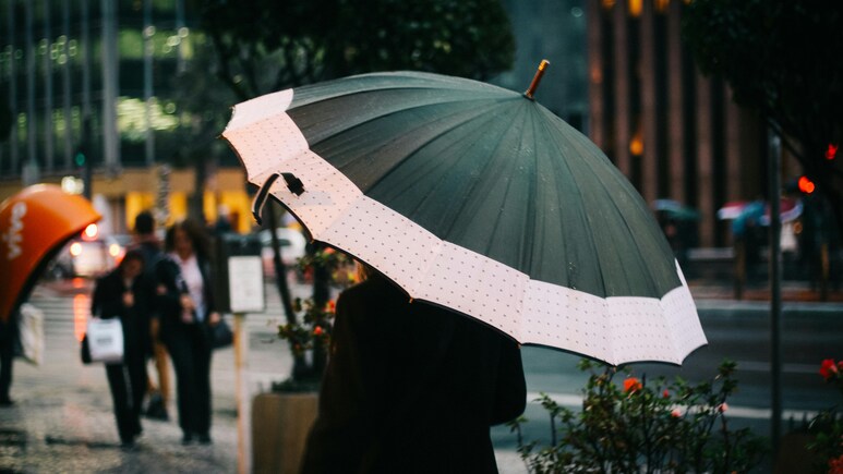 Rainy Season के लिए बेस्ट हैं ये शानदार Umbrella, 300 रुपये से भी कम में अभी खरीदें Rainy Season के लिए बेस्ट हैं ये शानदार Umbrella, 300 रुपये से भी कम में अभी खरीदें