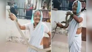 70 साल की उम्र में खौफनाक कारनामा, 'शेरदिल दादी' ने 8 फीट लंबे सांप को पकड़कर गले में टांगा