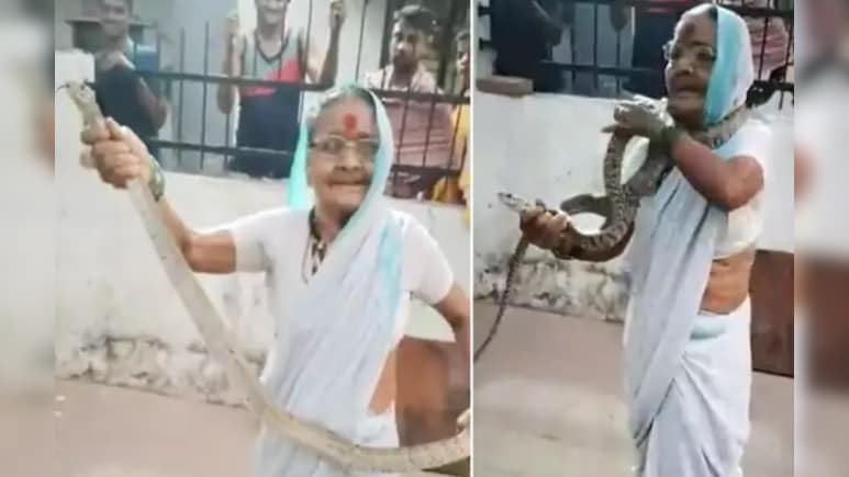70 साल की उम्र में खौफनाक कारनामा, 'शेरदिल दादी' ने 8 फीट लंबे सांप को पकड़कर गले में टांगा
