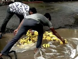 Dombivli: डोंबिवलीकरांच्या जीवाशी खेळ, रस्त्यावरील घाण पाण्यात धुवून सुरु आहे केळ्यांची विक्री