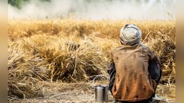 Farmers Death: मराठवाडा सुन्न! एकाच दिवशी 4 शेतकऱ्यांनी मृत्यूला कवटाळलं