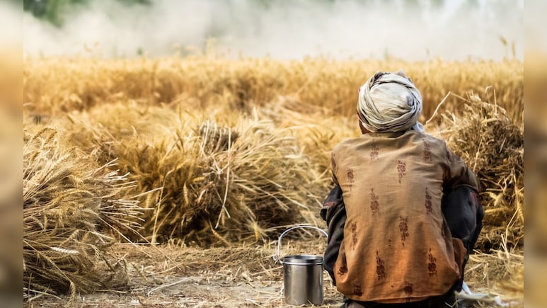 Farmers Death: मराठवाडा सुन्न! एकाच दिवशी 4 शेतकऱ्यांनी मृत्यूला कवटाळलं Farmers Death: मराठवाडा सुन्न! एकाच दिवशी 4 शेतकऱ्यांनी मृत्यूला कवटाळलं