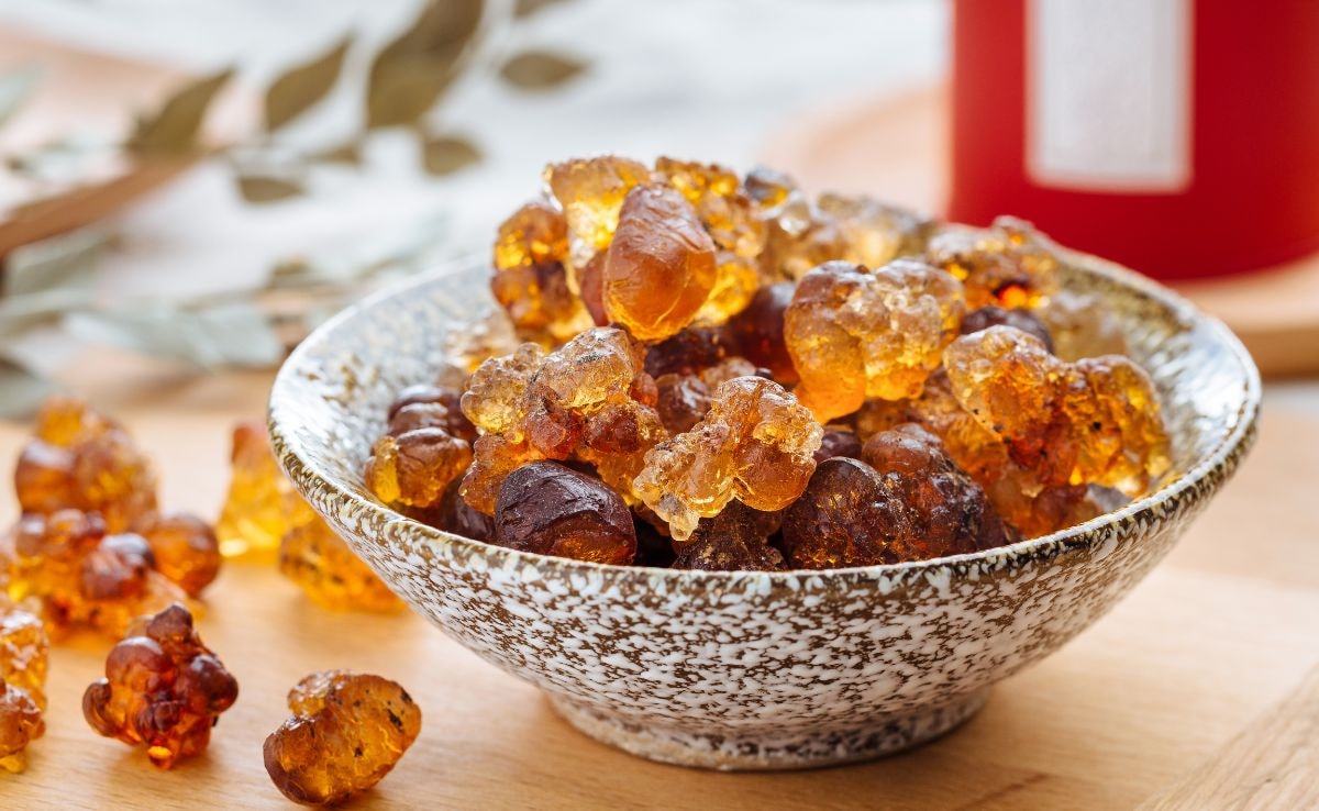 सर्दियों में गोंद खाने के फायदे, गोंद के लड्डू के फायदे, गोंद की तासीर कैसी होती है, गोंद क्या है, कमर दर्द के लिए गोंद, गोंद खाने का सही तरीका, इम्यूनिटी बढ़ाने के लिए गोंद, गोंद के स्वास्थ्य लाभ, सेहत के लिए गोंद,Gond ke fayde in winter, Benefits of eating Gond, Edible gum benefits, Gond ke laddu health benefits, Is Gond good for health, Eating Gond in cold weather, Indian superfoods for winter, Gond for joint pain, How to eat Gond. Latest and Breaking News on NDTV