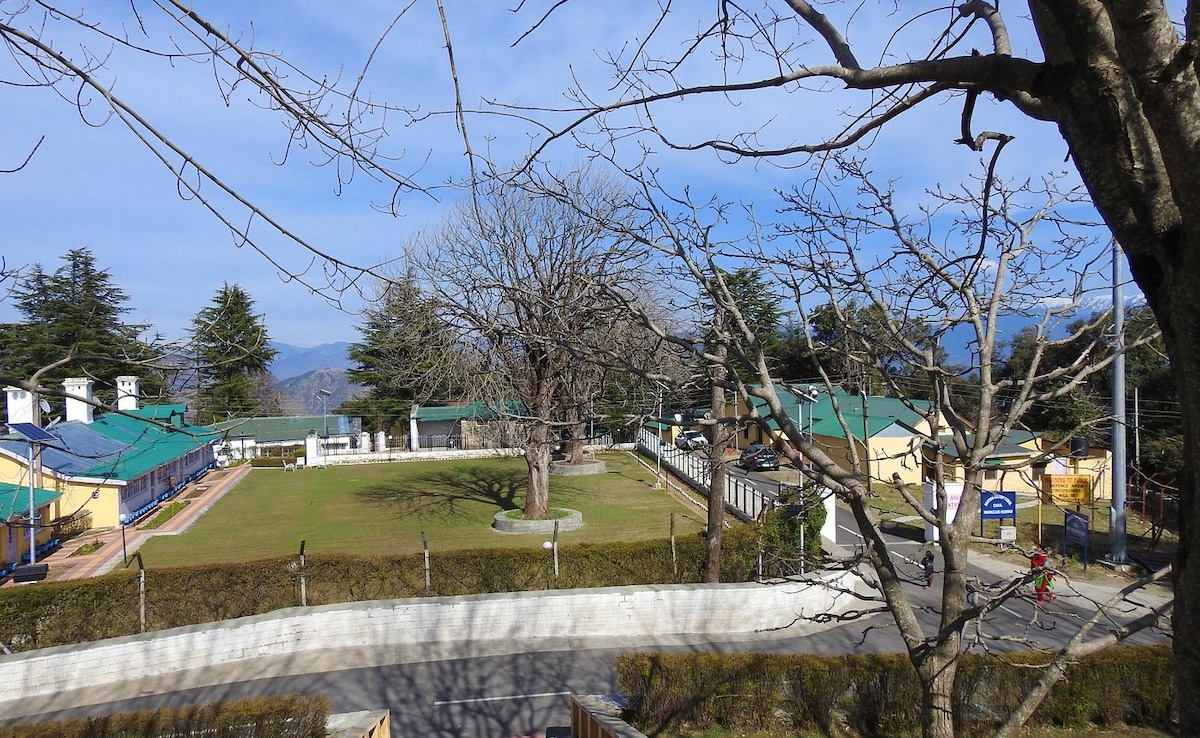 The cricket ground is a major tourist attraction in Chail The cricket ground is a major tourist attraction in Chail