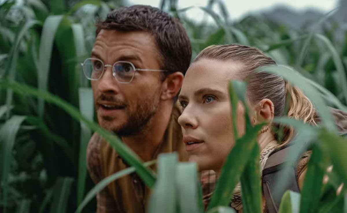 Photo: Courtesy of Universal Pictures Photo: Courtesy of Universal Pictures