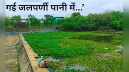 Nagpur News : 'गई जलपर्णी पानी में..', कोट्यवधींचा खर्च, नागपूर पालिकेच्या अभियानाची पावसामुळे अजब थट्टा