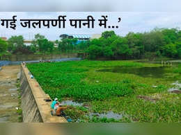 Nagpur News : 'गई जलपर्णी पानी में..', कोट्यवधींचा खर्च, नागपूर पालिकेच्या अभियानाची पावसामुळे अजब थट्टा