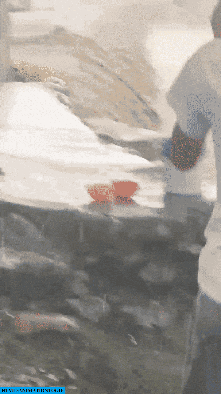 उत्तराखंड में ऐसा सैलाब कि बह गई कार, गाड़ी के इंजन का भी निकला दम...तेज बहाव में कैसे बचा ड्राइवर