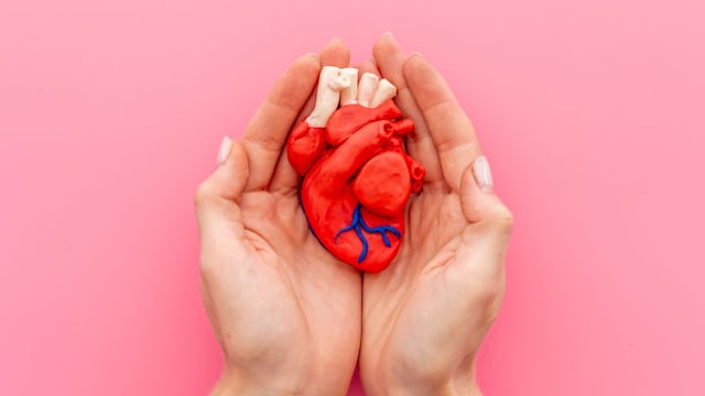 The heart is the cornerstone of your overall health