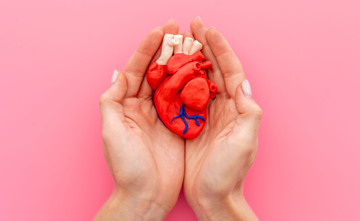 The heart is the cornerstone of your overall health