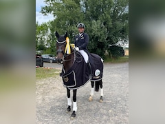 Asian Games: Indian Squads For Three Equestrian Disciplines Announced