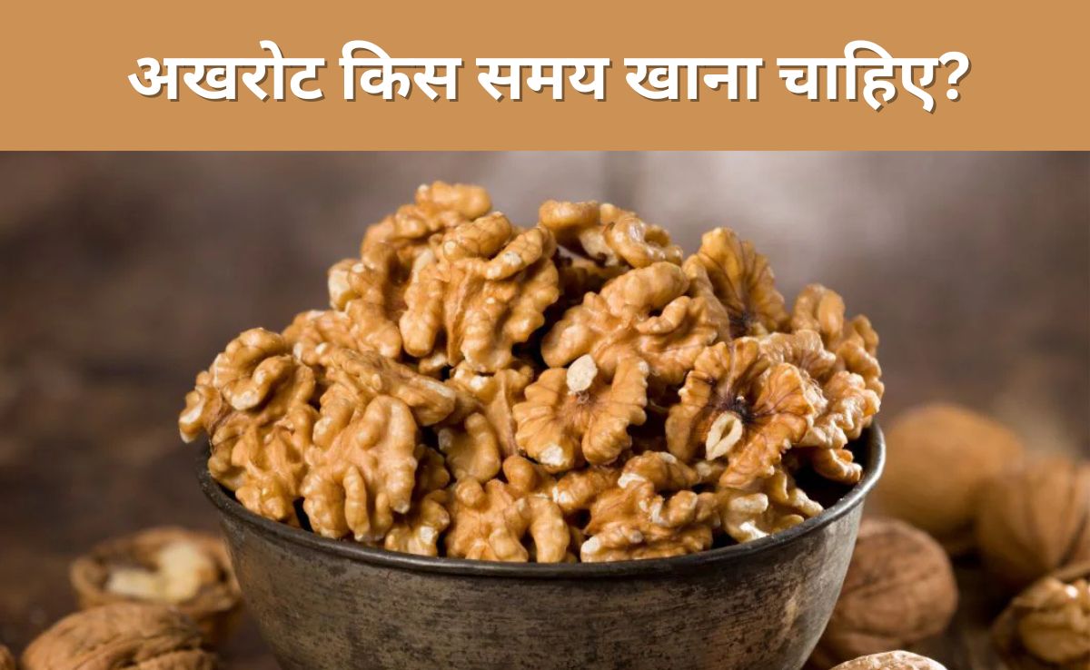 अखरोट किस समय खाना चाहिए? Dr. Saurabh Sethi ने बताया दिमाग की सेहत अच्छी रखने के लिए Walnuts खाने का यह है सही टाइम 