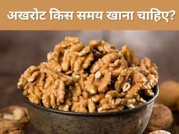 अखरोट किस समय खाना चाहिए? Dr. Saurabh Sethi ने बताया दिमाग की सेहत अच्छी रखने के लिए Walnuts खाने का यह है सही टाइम  अखरोट किस समय खाना चाहिए? Dr. Saurabh Sethi ने बताया दिमाग की सेहत अच्छी रखने के लिए Walnuts खाने का यह है सही टाइम