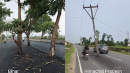 Bihar 2.0 In Himachal? Electric Poles Stand In The Middle Of The Road