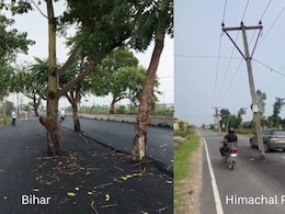 Bihar 2.0 In Himachal? Electric Poles Stand In The Middle Of The Road Bihar 2.0 In Himachal? Electric Poles Stand In The Middle Of The Road