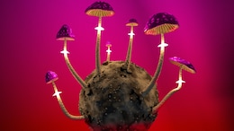 People Using AI Chatbots As Tripsitter When Using Psychedelics, Sparking Concerns