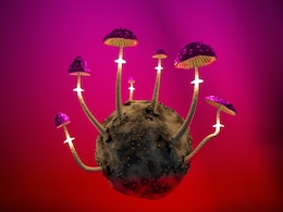 People Using AI Chatbots As Tripsitter When Using Psychedelics, Sparking Concerns