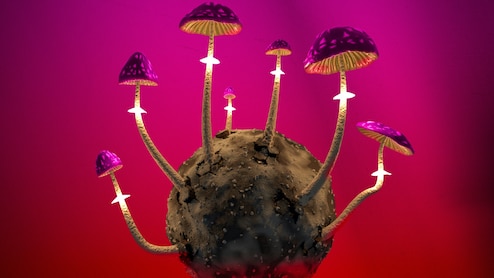People Using AI Chatbots As Tripsitter When Using Psychedelics, Sparking Concerns