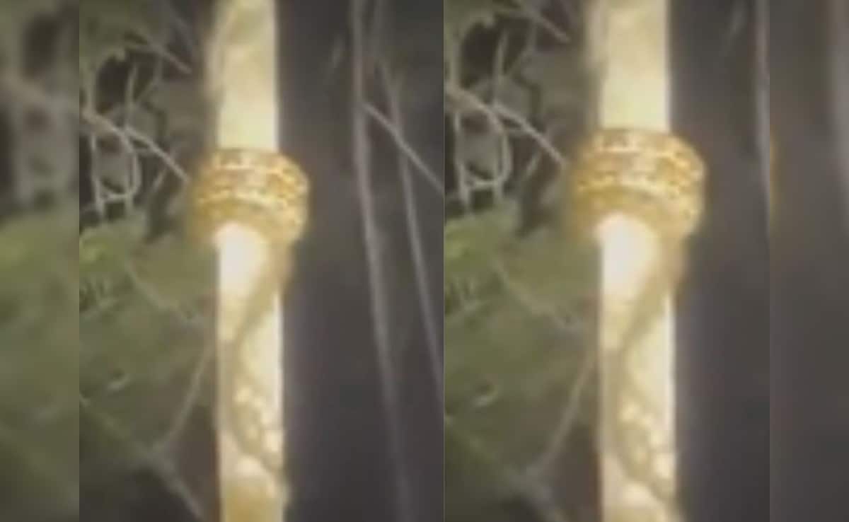 Latest and Breaking News on NDTV Latest and Breaking News on NDTV