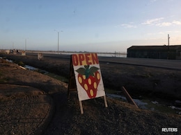 Immigration Raids In California Strawberry Fields, Sow Fear Among Farmers Immigration Raids In California Strawberry Fields, Sow Fear Among Farmers
