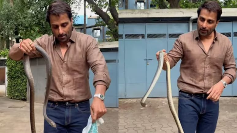 VIDEO: सोनू सूद की सोसायटी में घुसा सांप, एक्टर ने हाथ में लेकर फैंस को दी ये चेतावनी