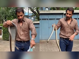 VIDEO: सोनू सूद की सोसायटी में घुसा सांप, एक्टर ने हाथ में लेकर फैंस को दी ये चेतावनी VIDEO: सोनू सूद की सोसायटी में घुसा सांप, एक्टर ने हाथ में लेकर फैंस को दी ये चेतावनी