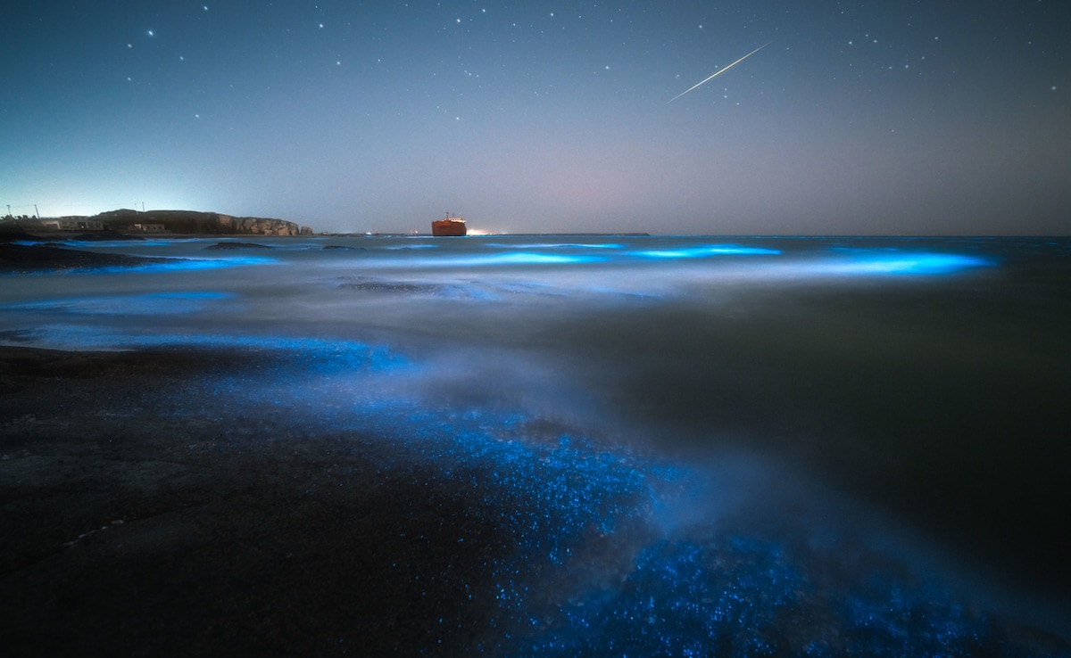 Photo: iStock Photo: iStock