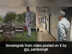 Video Of Delhi Minister's 'Special Guest' Goes Viral, Internet Reacts