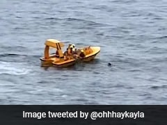 Man Jumps Overboard To Save His Daughter After She Falls From Disney Cruise Ship