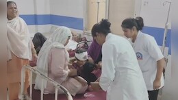 Dog Bite: अचानक बिगड़ी तबीयत तो अस्पताल लेकर भागे परिजन, कुत्तों के काटने के 20 दिन बाद चार साल की मासूम की मौत
